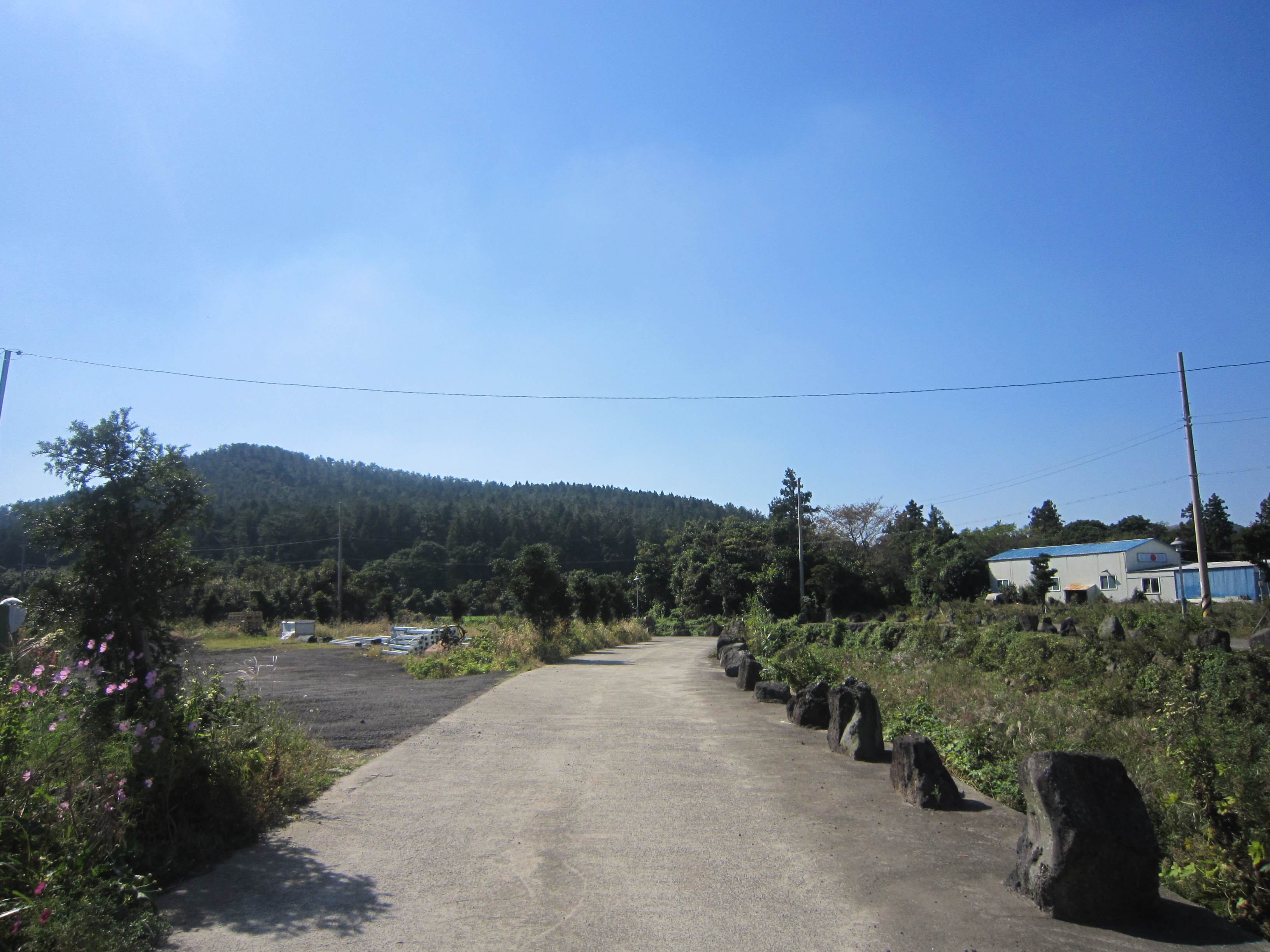 3. 작은내교로 접어드는길.JPG